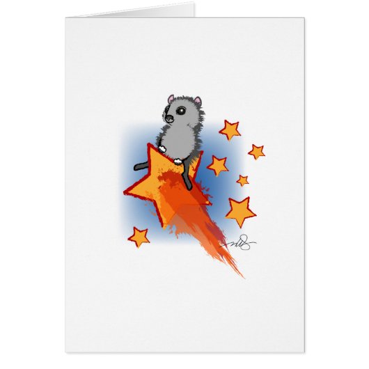 Wombat Riding a Shooting Star (Voorkant)