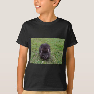 WOMBAT TASMANIA AUSTRALIË T-SHIRT