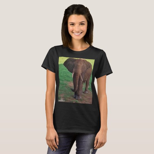 Women’s Basic T-Shirt – African Elephant Portrait (Voorkant volledig)