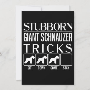 Womens Stubborn Giant Schnauzer Tricks, Funny Aankondiging