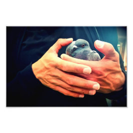 Wond Bird Foto Afdruk