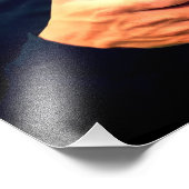 Wond Bird Foto Afdruk (Hoek)