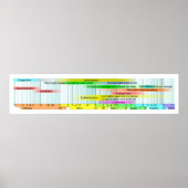 Wond Healing Phases Diagram Poster (Voorkant)