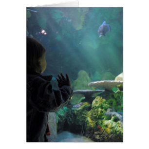 Wonder & Reflection Fotografie