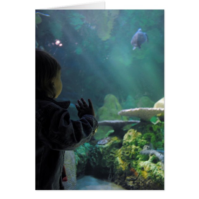 Wonder & Reflection Fotografie (Voorkant)