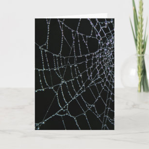 Wonder van het Web Kaart