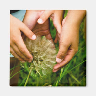 Wonder van Natuur Photo Magnet Magneet