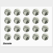 Wonder Wheel Stickers (Vel)