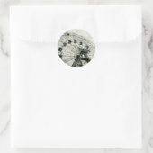 Wonder Wheel Stickers (Tas)