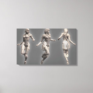 Wonder Woman Alternate Turnround Canvas Afdruk