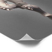 Wonder Woman Alternate Turnround Poster (Hoek)