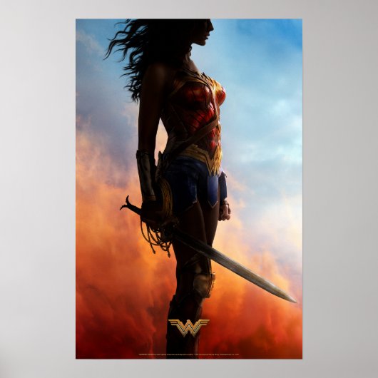 Wonder Woman Duststorm Silhouette Poster (Voorkant)