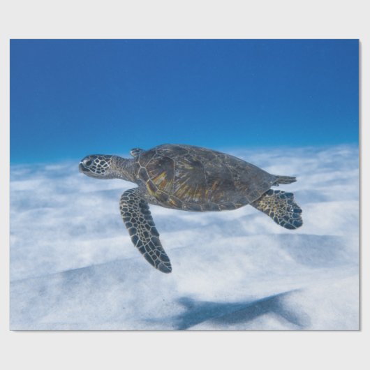 Wonderful Aquatic Turtle Cadeaupapier (Vlak)