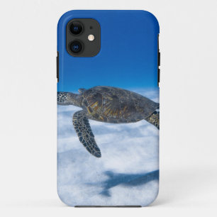 Wonderful Aquatic Turtle iPhone 11 Hoesje