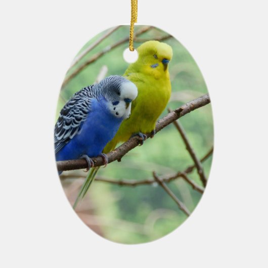 Wonderful Budgie Keramisch Ornament (Voorkant)