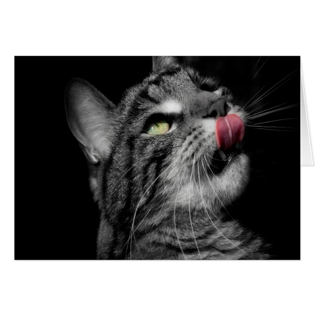 Wonderful Cat (Voorkant Horizontaal)