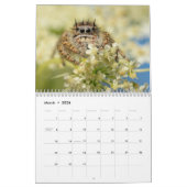 Wonderful Jumpers Kalender (Mar 2026)