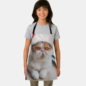 Wonderful persian cat with Santa Claus hat Schort (Insitu)