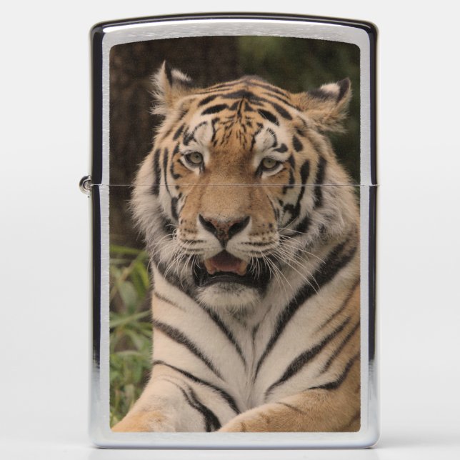 Wonderful Tiger (Voorkant)
