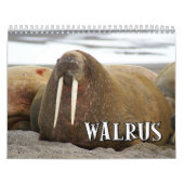 Wonderful Walrus Wall Agenda Kalender (Hoes)
