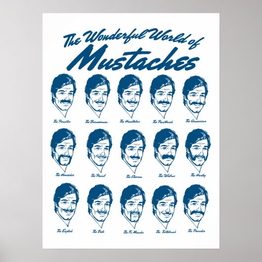 Wonderful World of Mustaches Poster (Voorkant)
