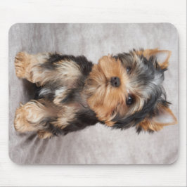 Wonderful yorkie muismat