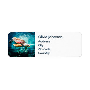 Wonderful Zee Turtle Ocean Life Turquoise Zee Etiket
