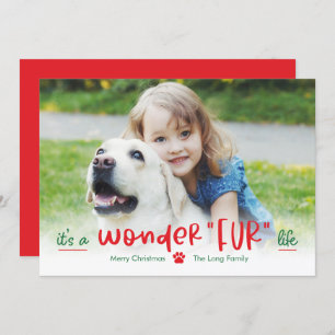 Wonderfur Life Animaux Carte photo de vacances