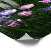 Wonderland Flamant rose & Cheshire Cat Poster (Coin)