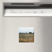 Wonthaggi Magneet (Insitu (Vaatwasser))