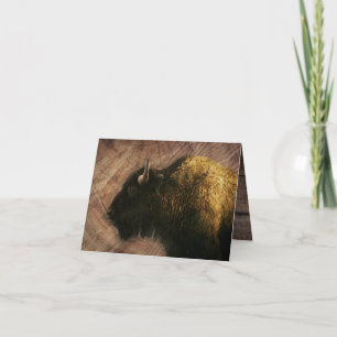Wood Bison Buffalo Bedankkaart