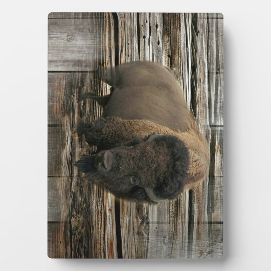 Wood Bison Fotoplaat (voorkant)