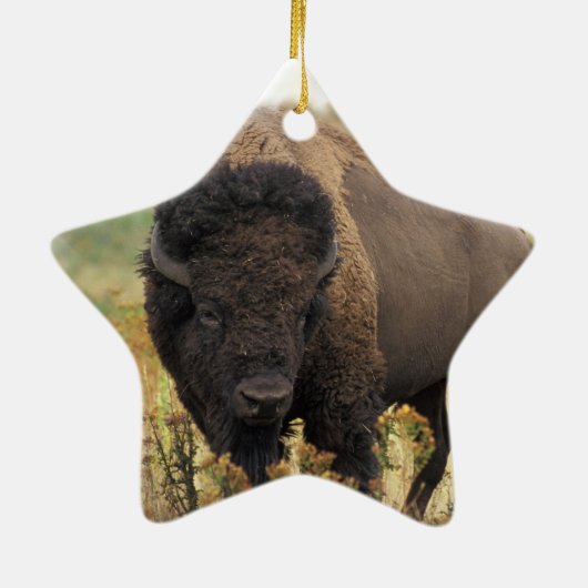 Wood Bison Ornament (Achterkant)