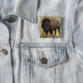 Wood Bison Square Pin Vierkante Button 5,1 Cm (In situ)