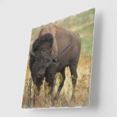 Wood Bison Wall klok (Hoek)