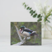 Wood Duck Briefkaart (Staand voorkant)