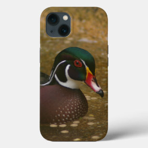 Wood Duck iPhone 13 Hoesje