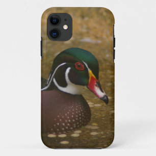 Wood Duck iPhone 11 Hoesje