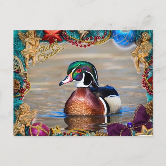 Wood Duck Drake Christmas Kaart (Voorkant)