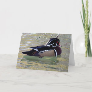 Wood Duck Drake Kaart