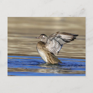 Wood Duck flapte haar vleugels Briefkaart