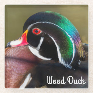 Wood Duck Glazen Onderzetter