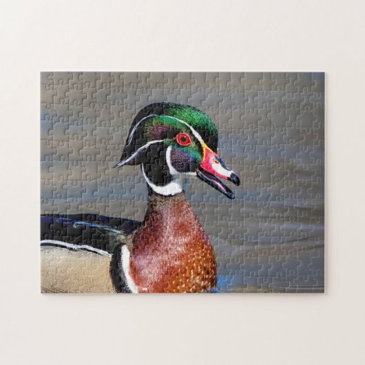 Wood Duck in de Hudson Valley Legpuzzel (Horizontaal)