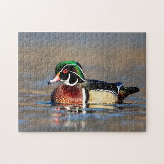 Wood Duck in de Hudson Valley Legpuzzel (Horizontaal)