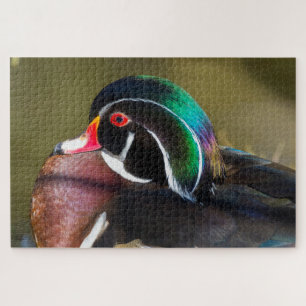 Wood Duck Legpuzzel