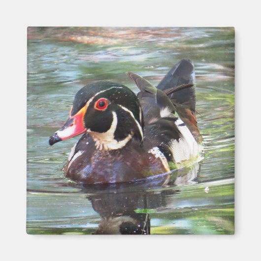 Wood Duck Magnet Magneet (Voorkant)