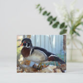 Wood Duck (Mississippi) Briefkaart (Staand voorkant)