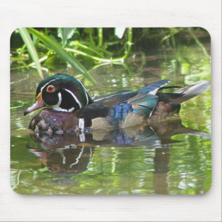 Wood Duck Muismat