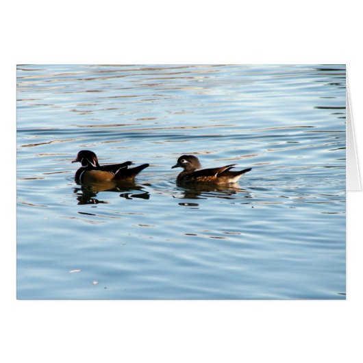Wood Duck Pair (Voorkant Horizontaal)