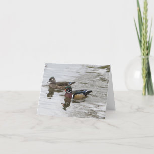 Wood Duck Pair Kaart